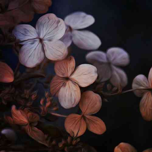 مهدی حاتمی برو خدا نگهدار قصه ی ما تموم شد